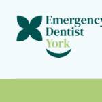Emergencydentistyork Profile Picture