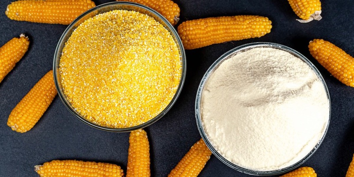 Corn Flour Powder Manufacturer – Quality, Purity & Reliability in Every Grain