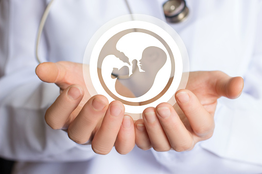 best ivf specialist in delhi | Best IVF doctor in Delhi- Dr. Rupali