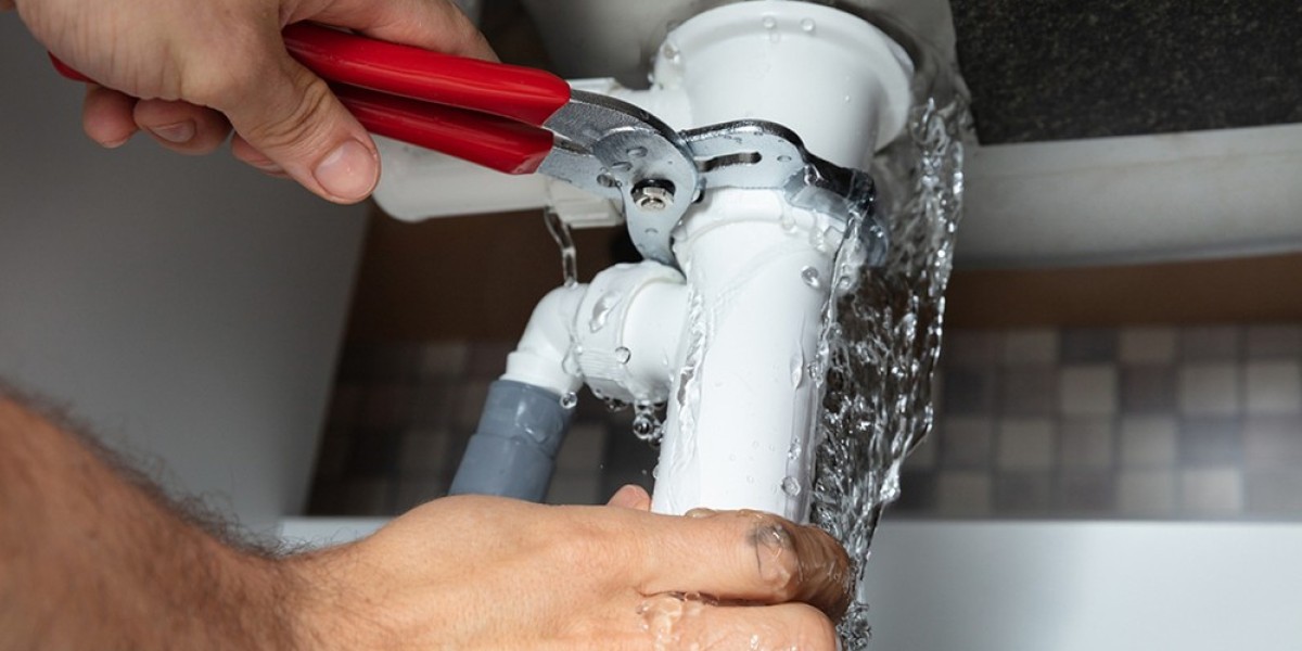 Plumbing and Electricals: The Backbone of Modern Infrastructure