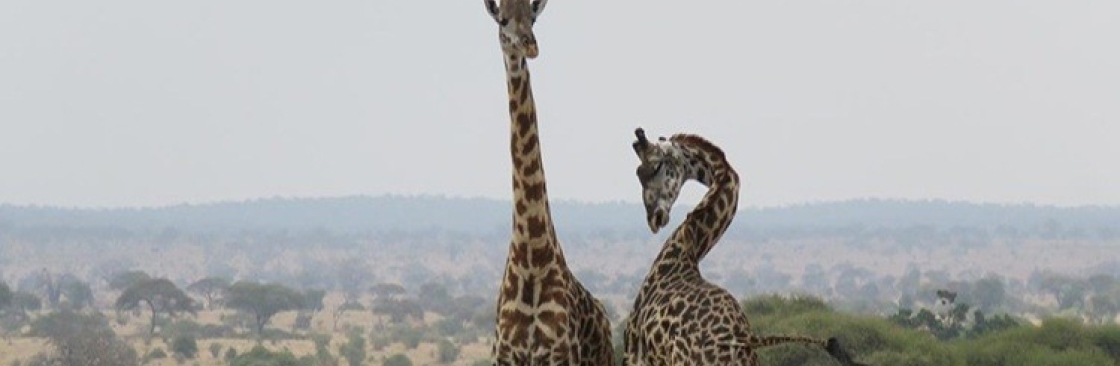 Asante Travel Group Cover Image