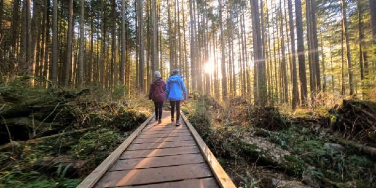 From U.S. to Canada: Key Financial Steps for a Smooth Retirement Transition U.S. Citizens Living in Canada Guide