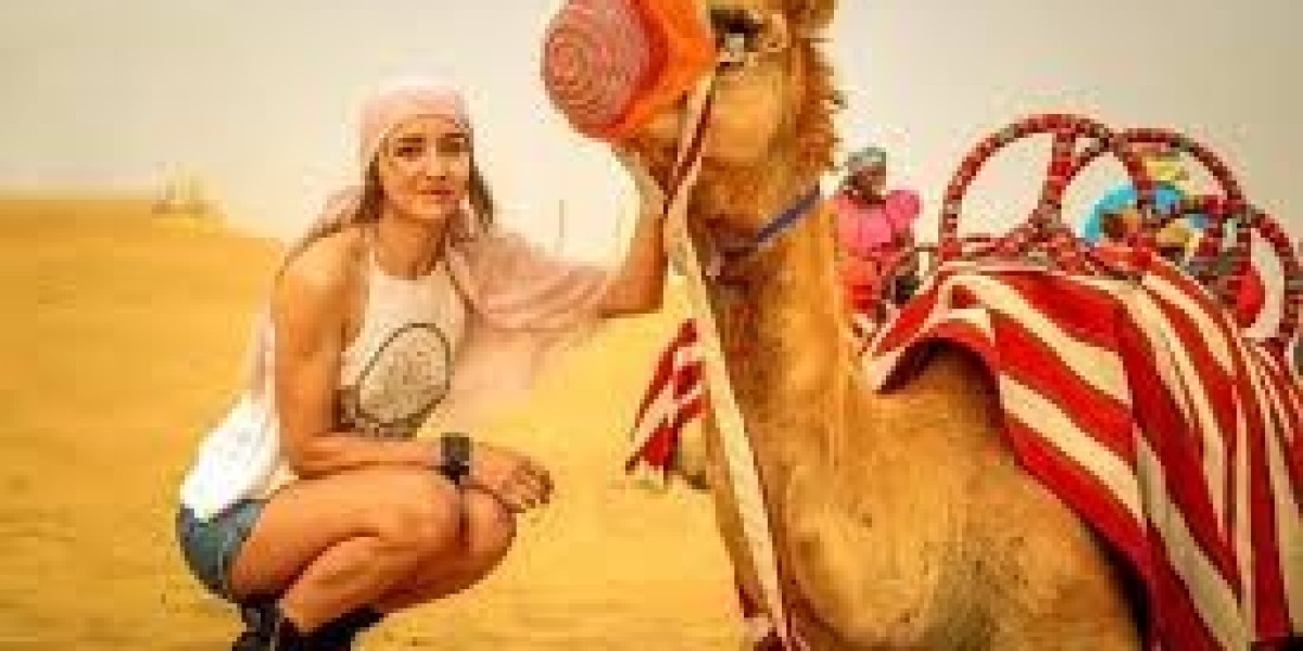 Camel Ride Dubai – Authentic Arabian Adventure with GoldenDesertSafari