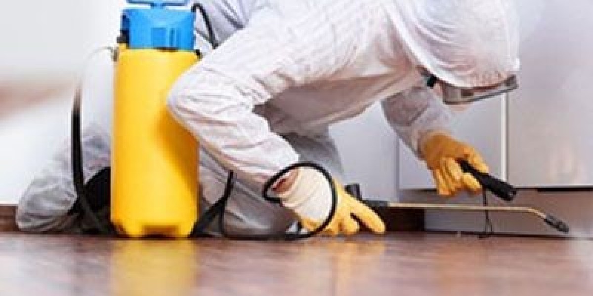 Choosing the Best Products to Keep Brooklyn Homes Pest-Free