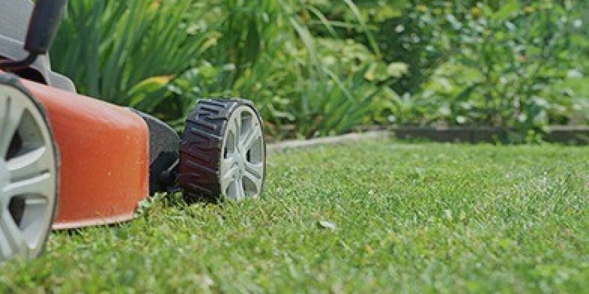 Article Picture