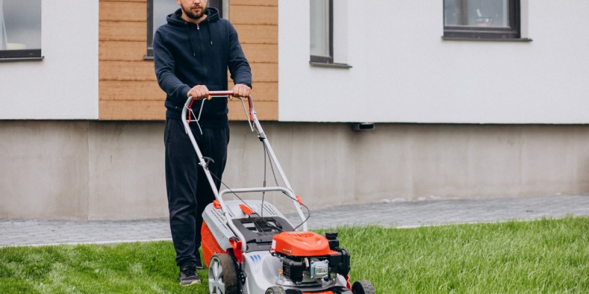 Year-Round Benefits of Lawn Care Little Elm