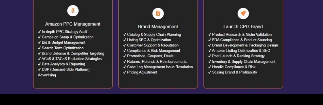 Brandefyn LLC Cover Image