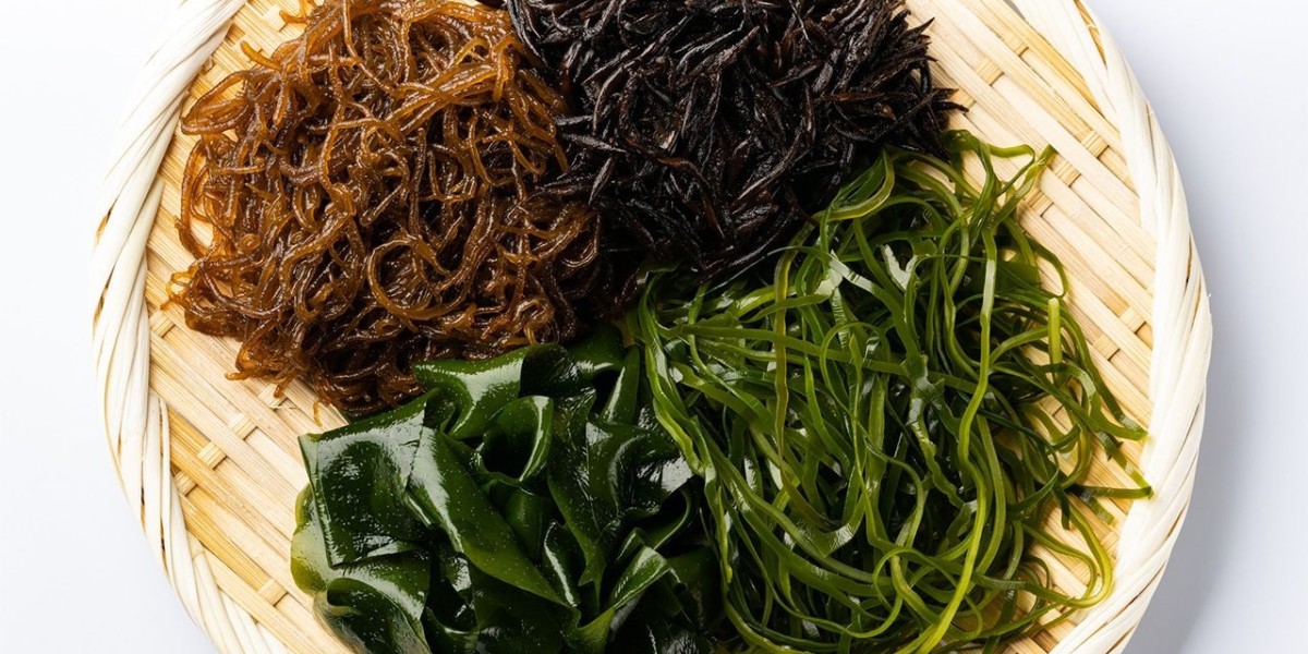 Everything You Need to Know About Seaweed Packets
