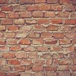 Audra Gutmann Profile Picture