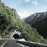 Felipa Paucek Profile Picture