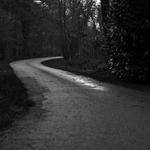 Kaylee Gusikowski Profile Picture