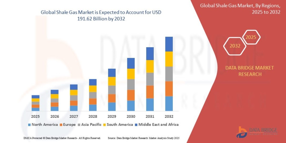 How the Shale Gas Market Is Transforming Global Energy Supply and Driving Industrial Development