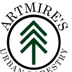 artmires Profile Picture