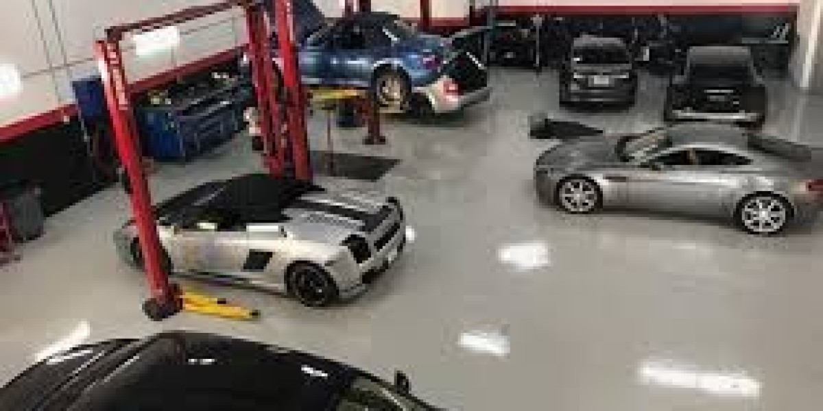 Expert Care for Elite Automobiles in Fort Lauderdale
