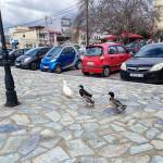 Greece Invests Profile Picture