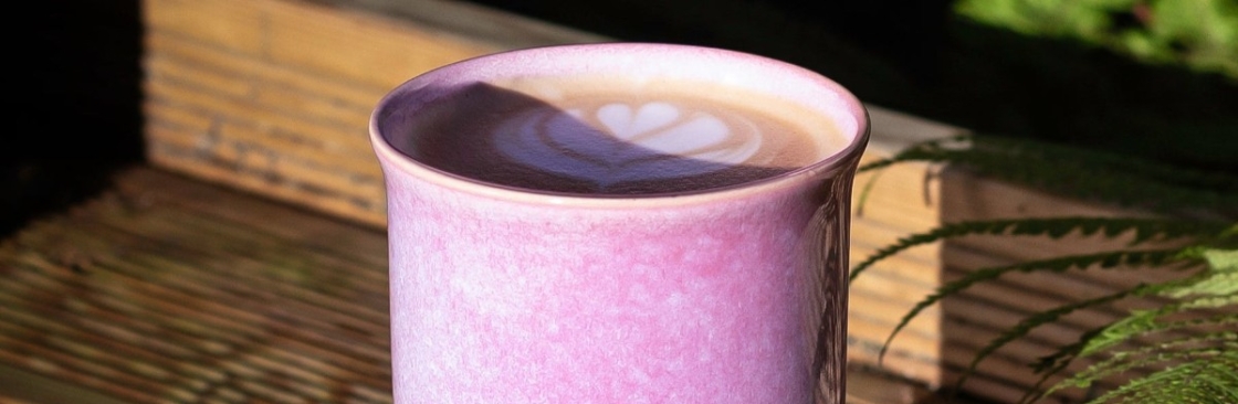 Nova Ceramics Cover Image