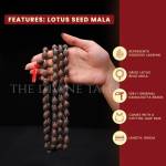 Original Rudraksha Mala Profile Picture
