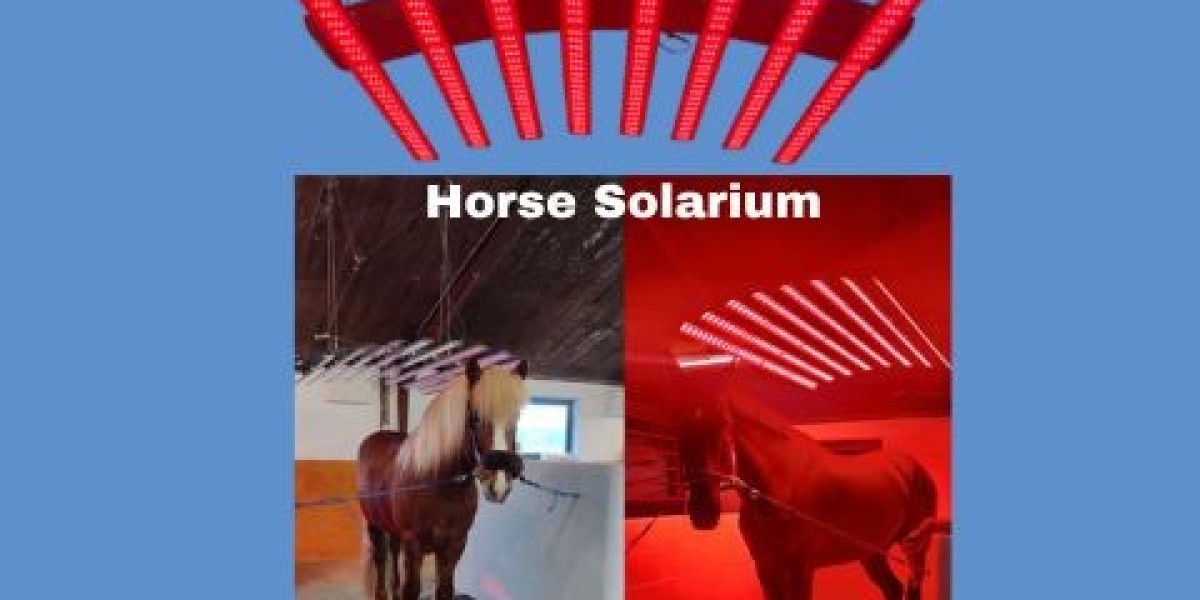 Enhance Equine Care with Innovative Horse Solarium  Technology