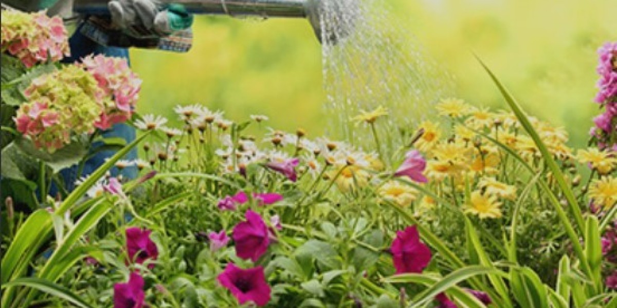 Garden Maintenance South Coogee – Reliable Care by Mitch’s Mowing & Gardening