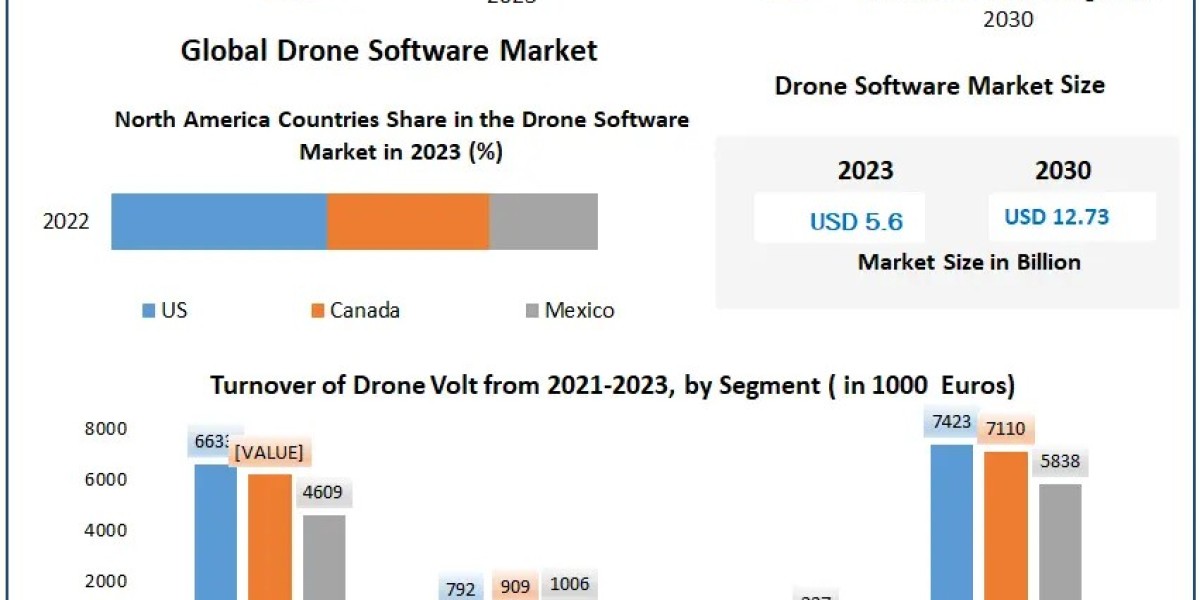 Drone Software Market Size, Growth Drivers, and Industry Forecast (2024–2030)