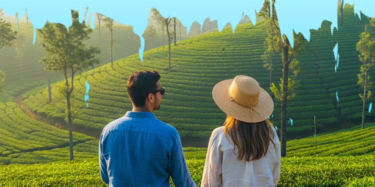 Best Kerala Tour Operator for Backwater & Hill Station Tours?