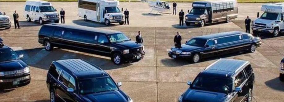 Royal Limos Co Cover Image