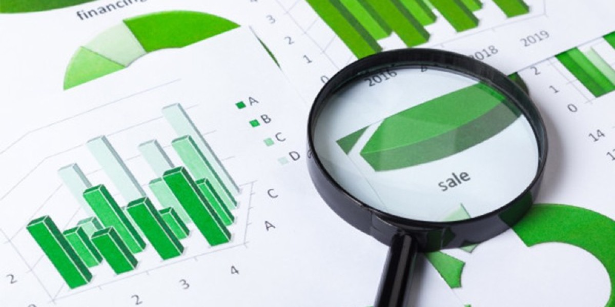Middle EAST Home Healthcare Software Market Research Report: Industry Size, Share, and Forecast Analysis