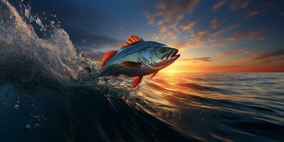 Fishing Nets for Sale: Top Picks for Use with Spinning Fishing Reels