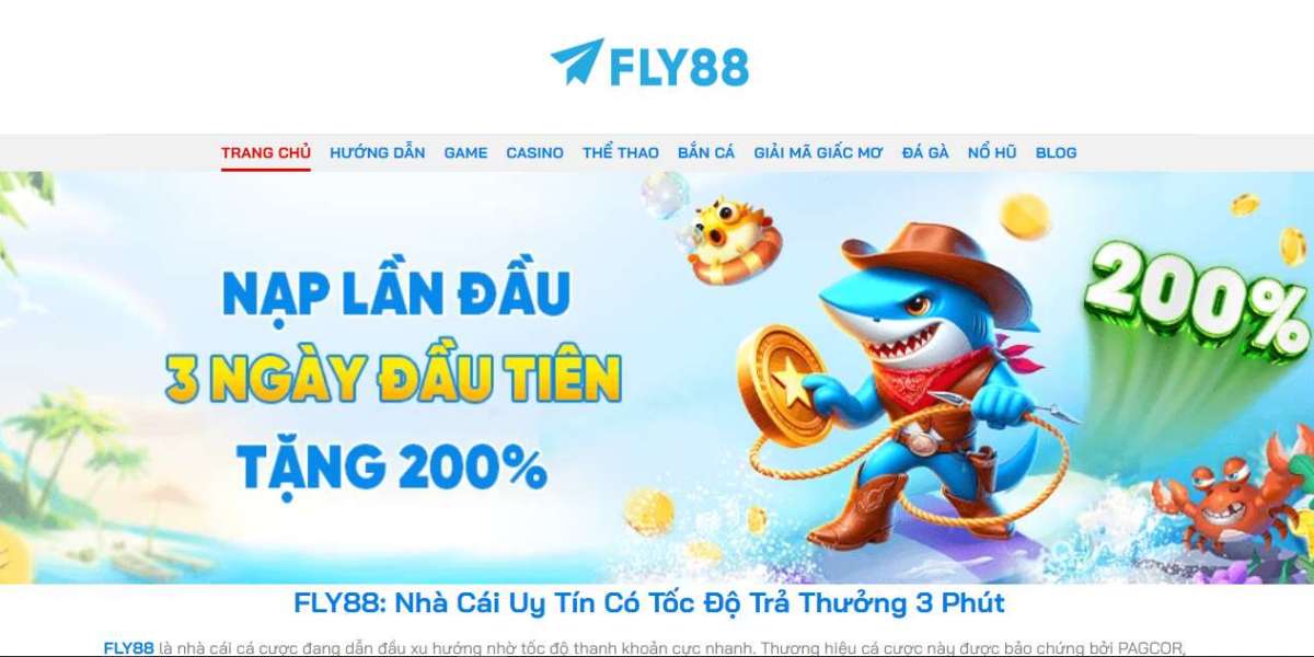 Fly88 – Complete Guide