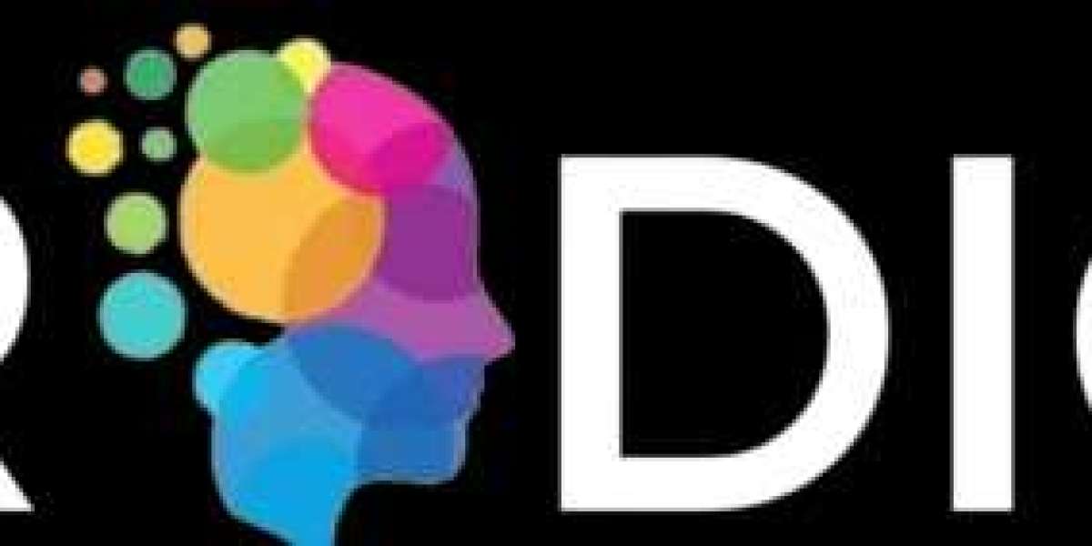 Driving Around the World with an International License Dubai