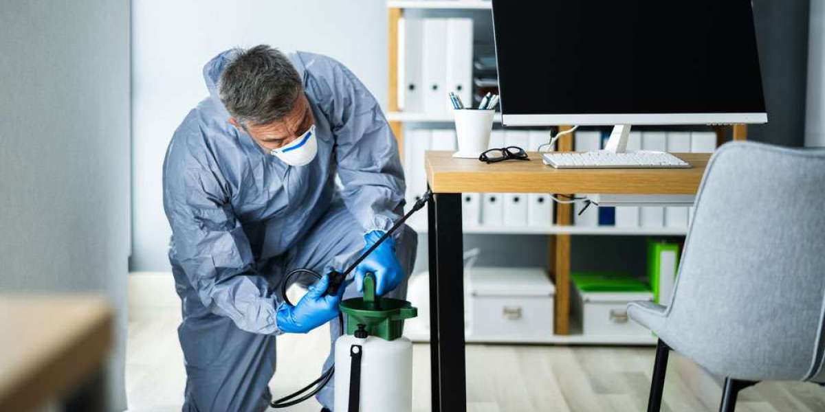 Protecting Your Property with Professional Pest Control in Bundall