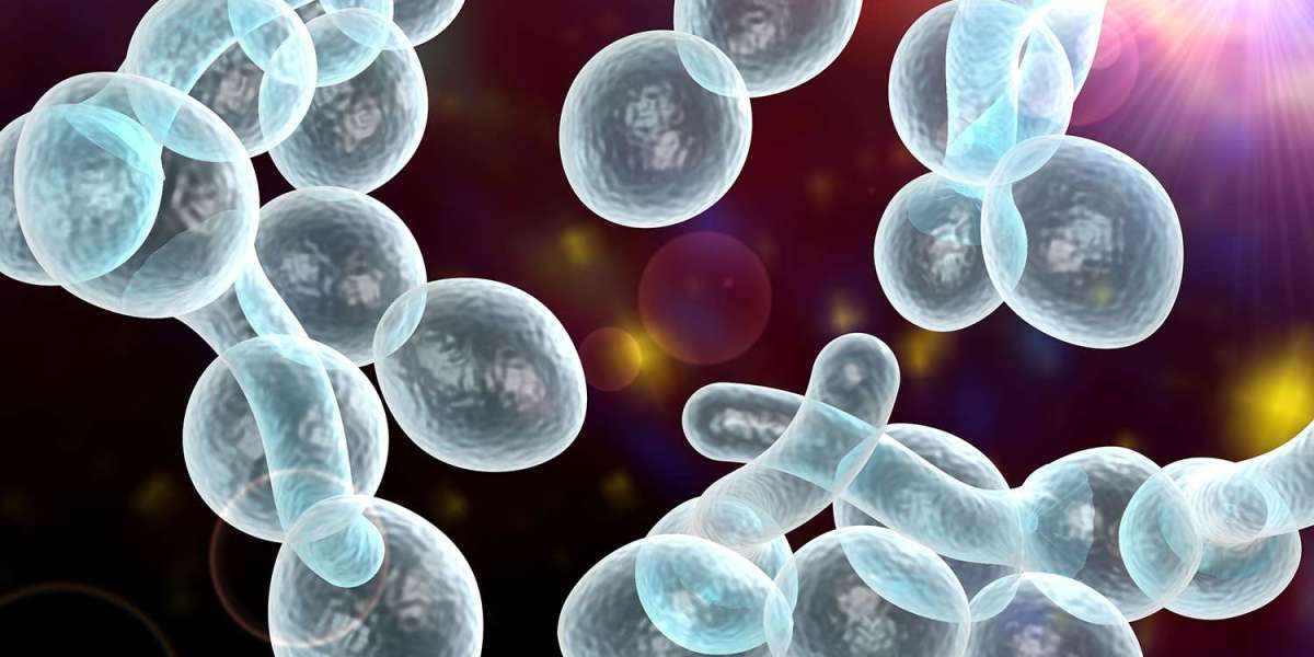 Enfield STD Clinic in Dubai: Modern Diagnostic Options