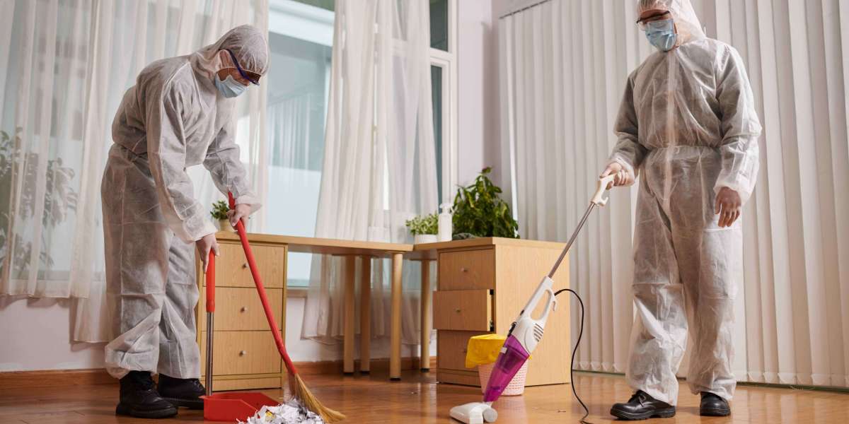Safeguarding Your Home: Reliable Pest Control Services in Ipswich