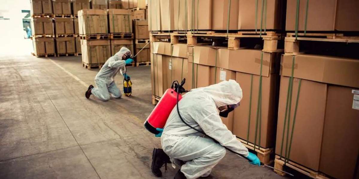 Safe and Effective Pest Control Services in Bonogin for a Healthier Home