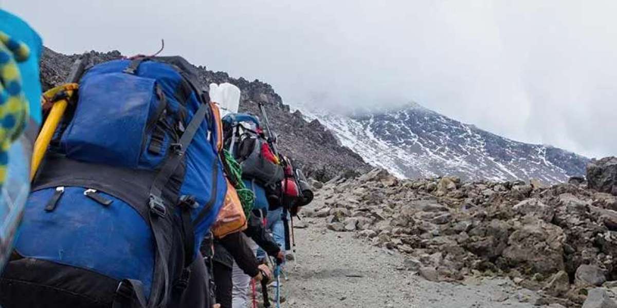 Nyungwe Forest National Park