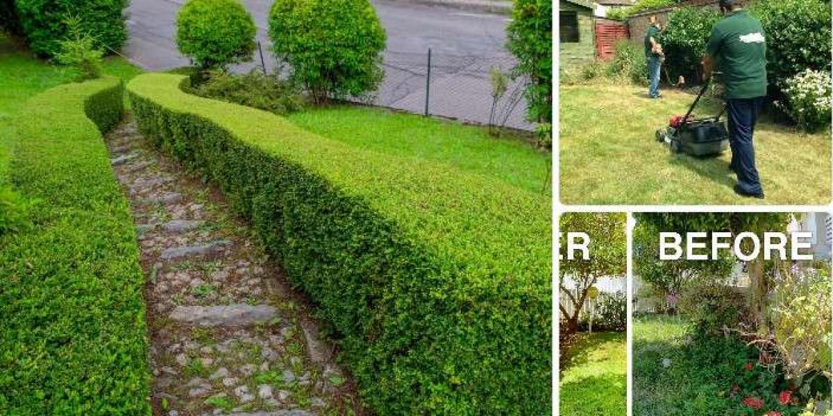 Professional Lawn Mowing Services in Matraville