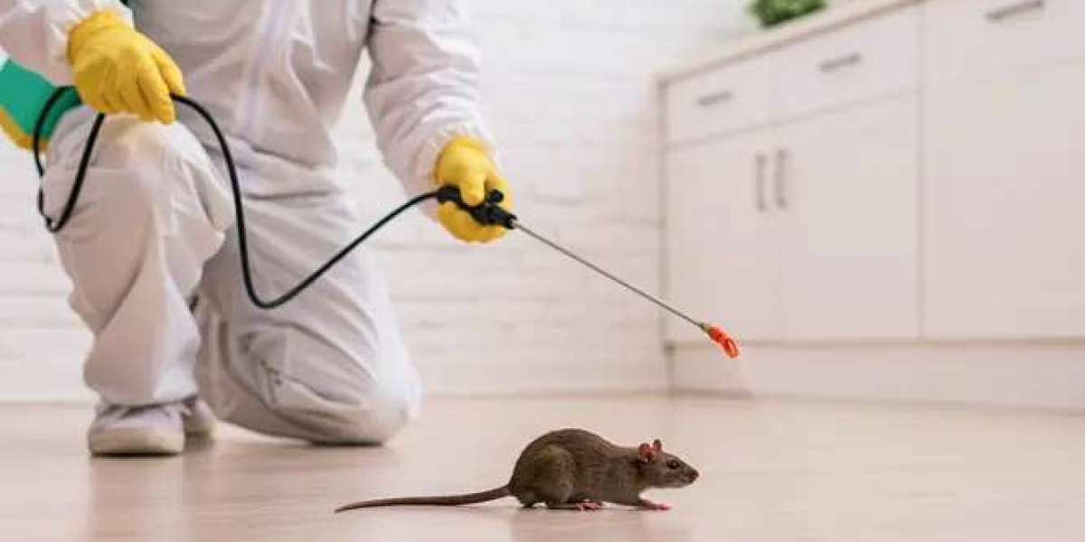 Complete Guide to Effective Pest Management
