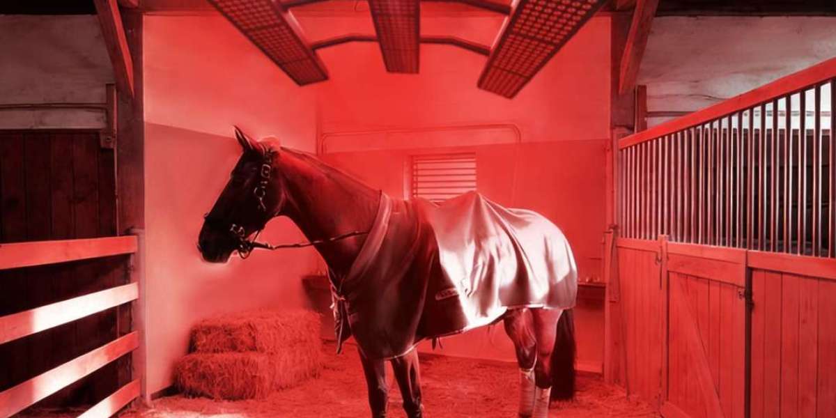 Enhance Your Horse’s Health with a Red Light Therapy Blanket