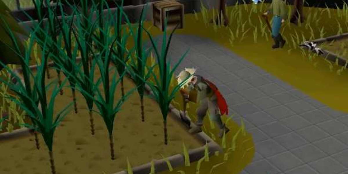 RSorder OSRS: Deadman Mode Efficiency Guide for Wizard's Tower and Draynor Village
