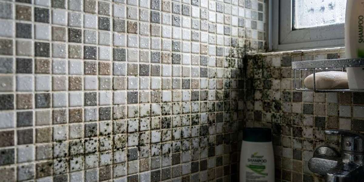 Tropical Bathroom Success: Mastering Mosaic Tile Maintenance in Singapore