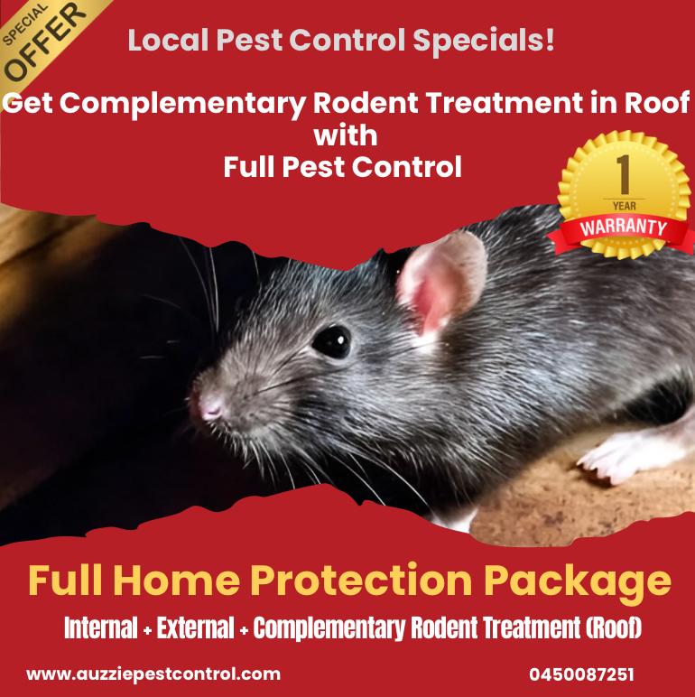 Commercial Pest Control