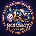 roidbay Profile Picture