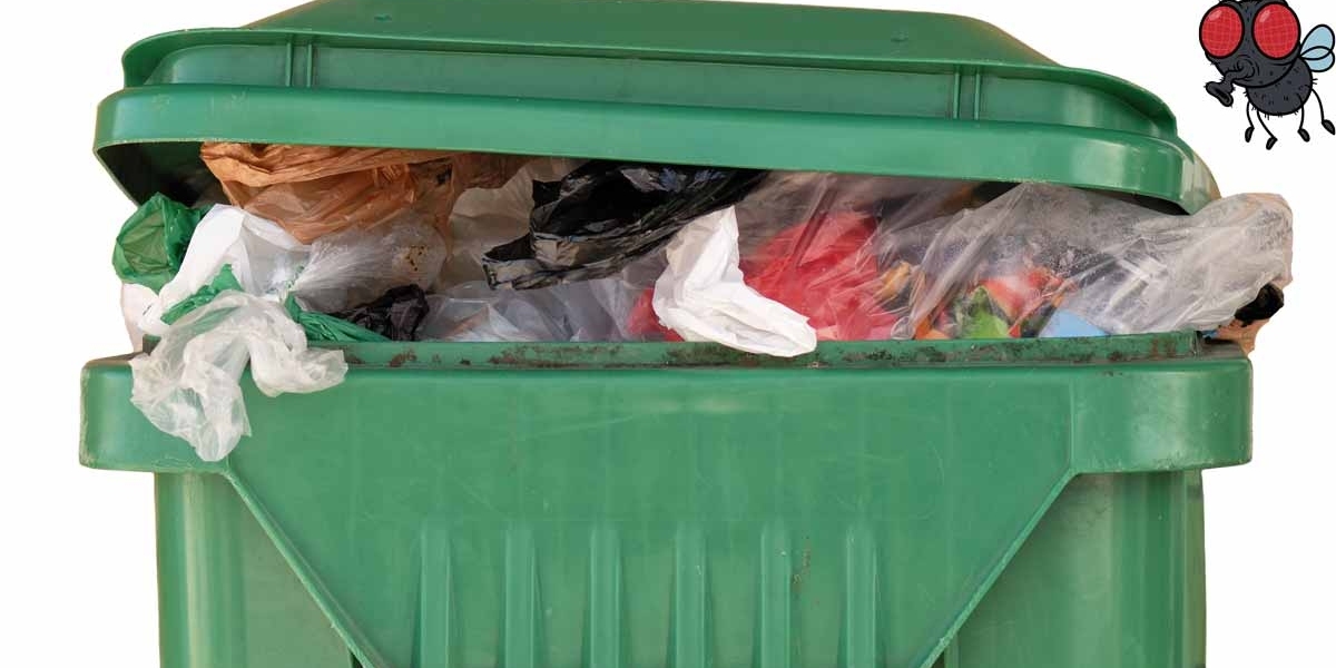 Professional Bin Cleaning Services for a Cleaner Home