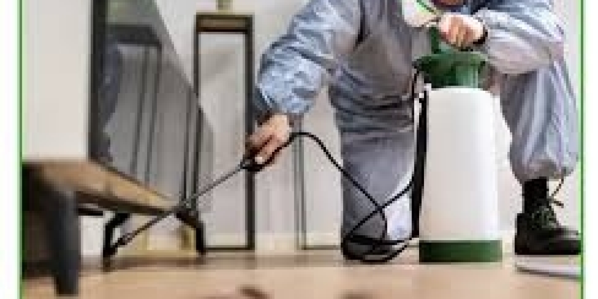 Affordable Home Infestation Treatments with Guaranteed Results
