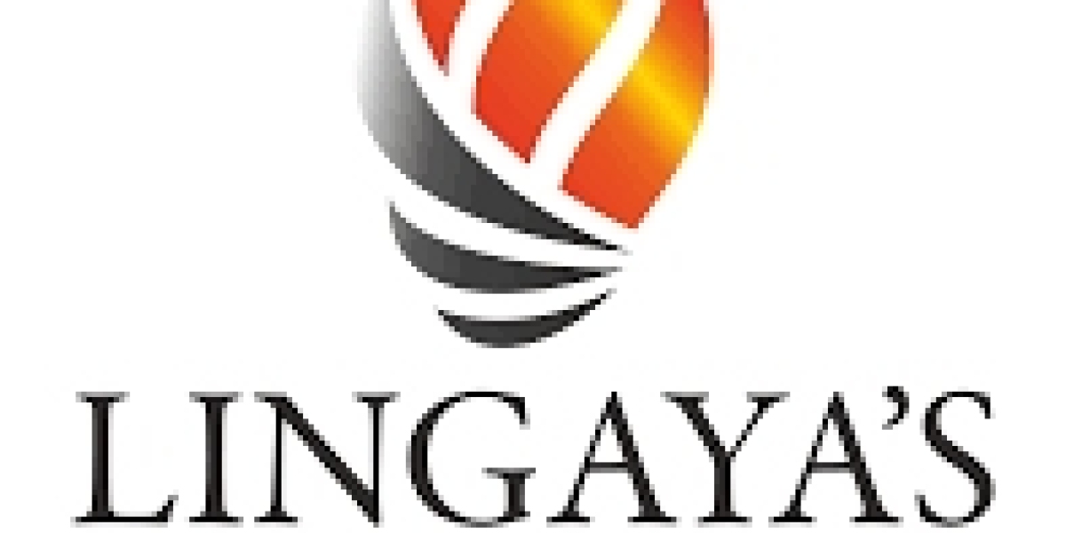 Why Lingaya's Vidyapeeth is the Best BCA College in Delhi NCR