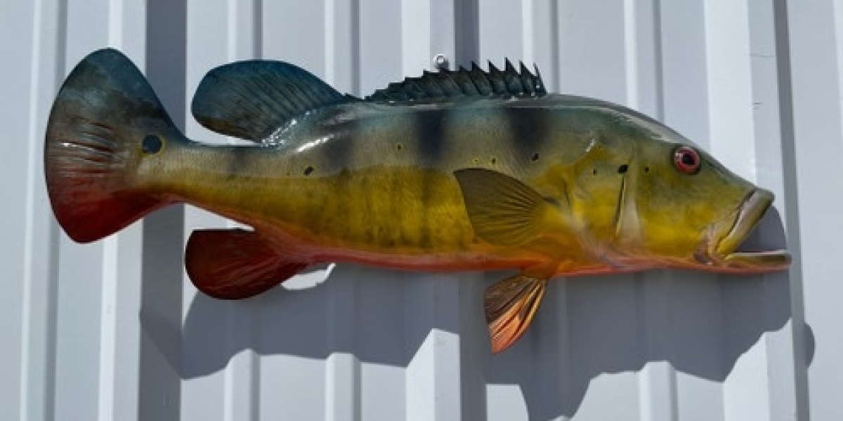Fish Replica and Fish Mount Solutions for Anglers Who Want Lasting Memories