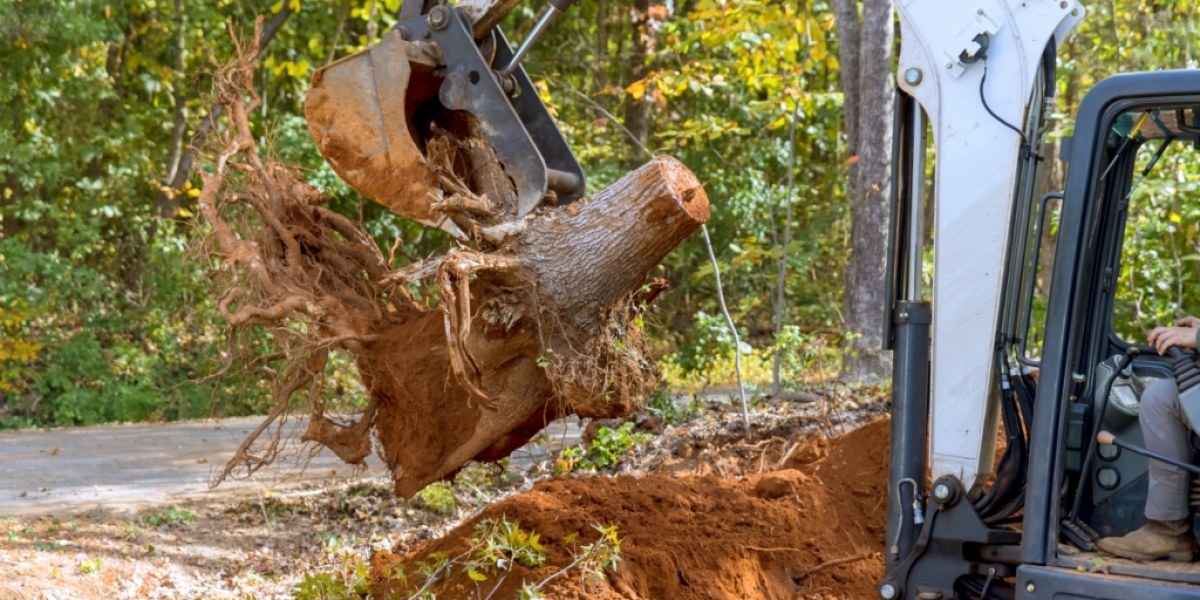 How Tree Stump Removal Protects Your Landscape in Kansas, MO