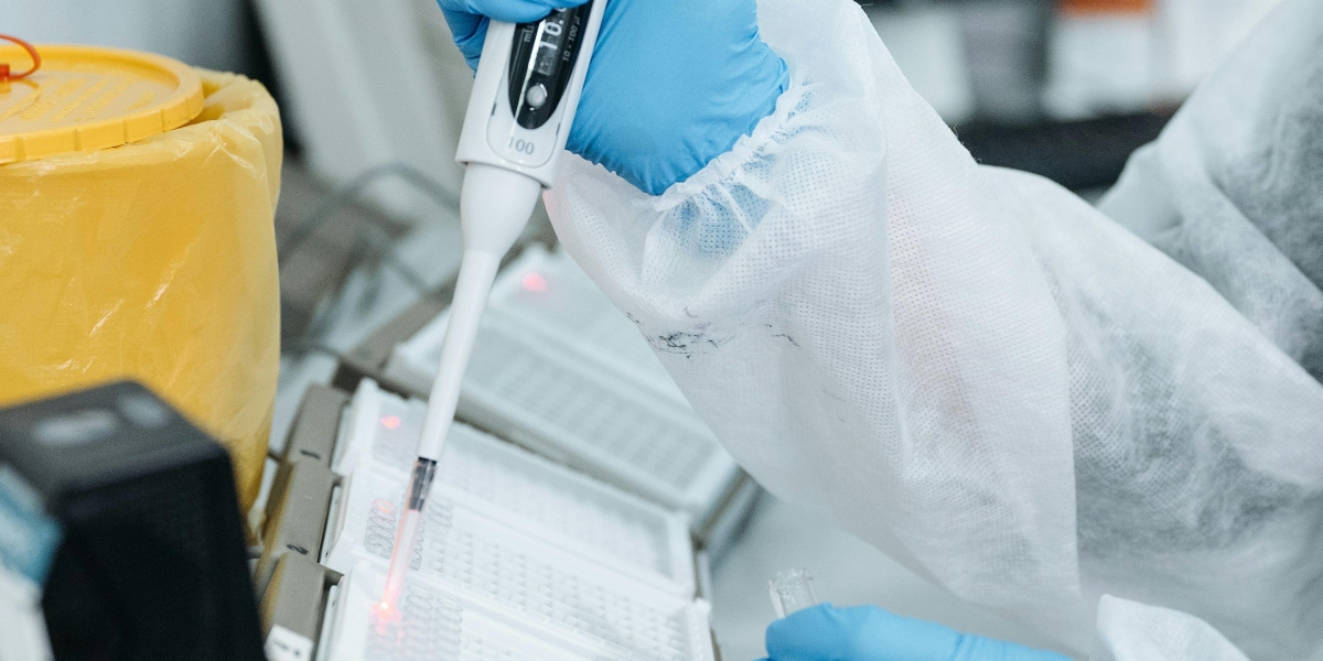 Global Molecular Weight Markers Market: Key Players, Trends & Future Prospects