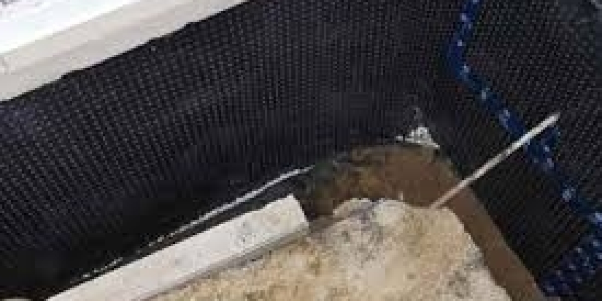 Basement Waterproofing Barrie Proven Solutions for Dry, Secure Homes
