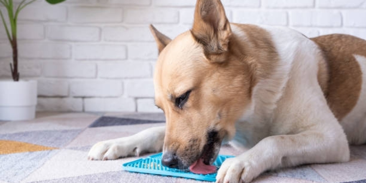 Lick Mats Market Size, Share, Industry Analysis & Forecast 2026-2036